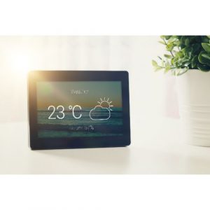 Newentor Weather Station Review